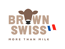 brown swiss
