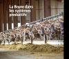 Actualité