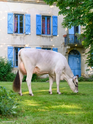 Agrandir l'image